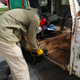 Image for article titled The Last-Minute Repair Frenzy That Saved My $500 Postal Jeep Project